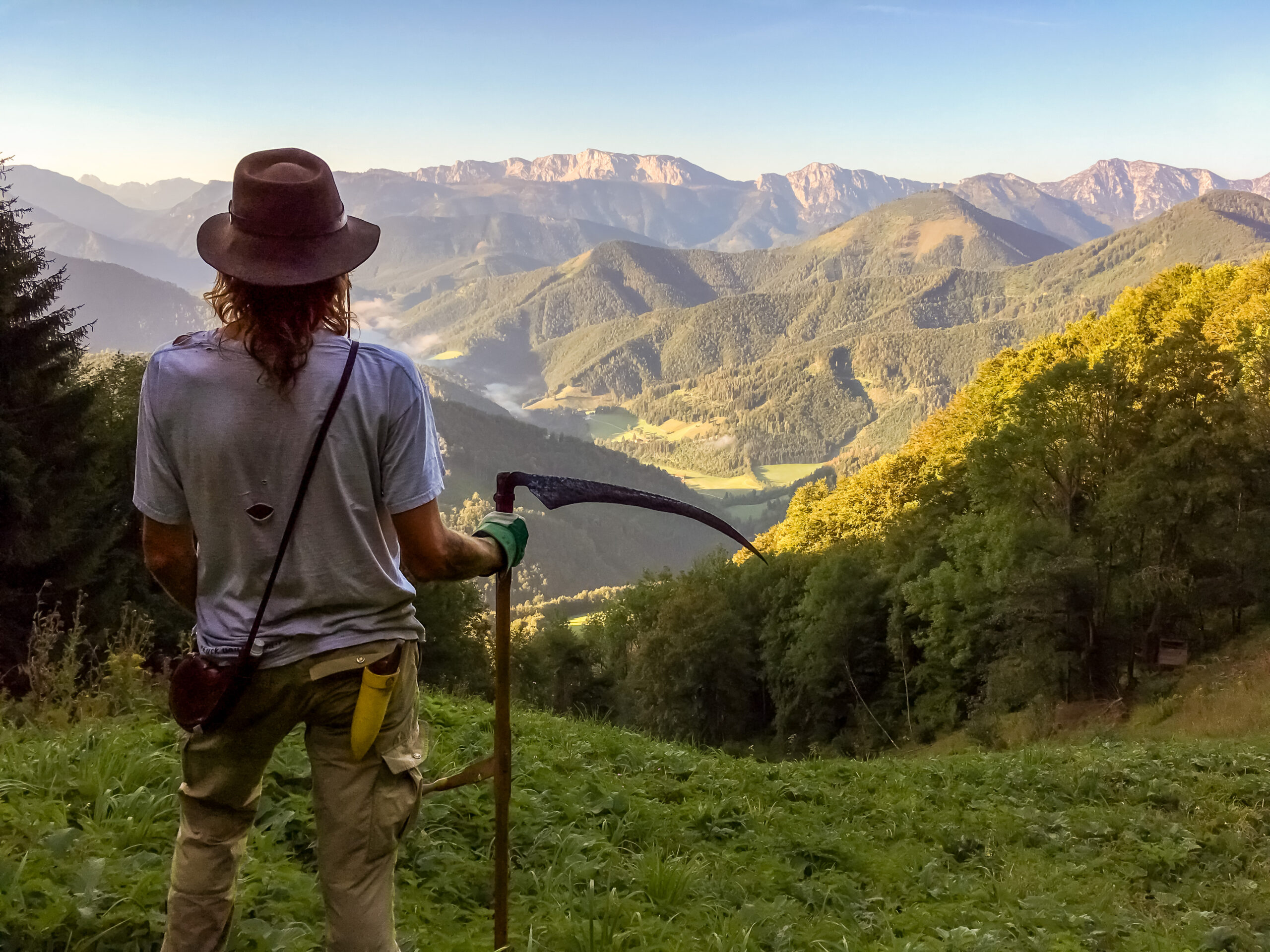 Evaluation of moutain meadows in Molln