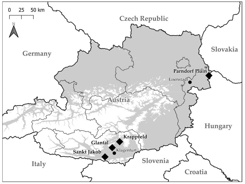 Mehr Karten für die Kornweihe