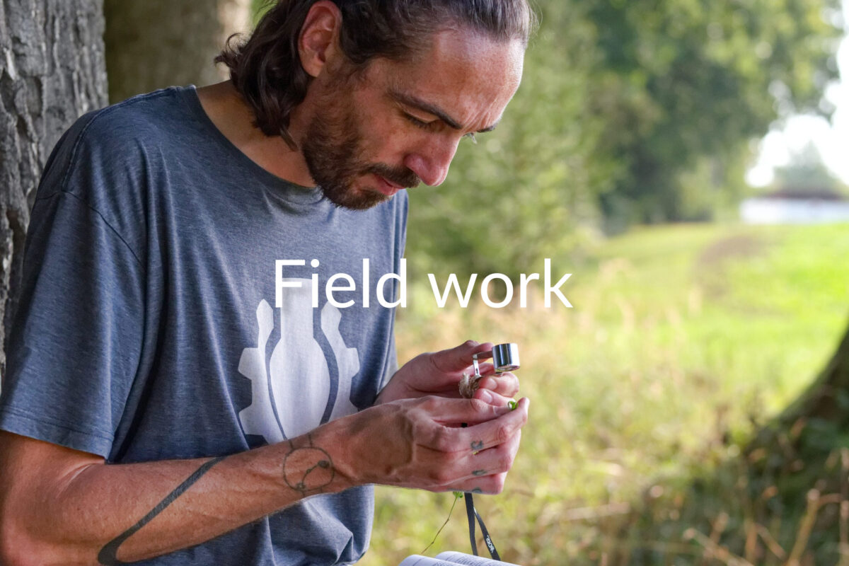 Field work surveying